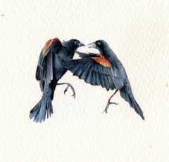 Portrait miniature d'oiseau noir ailé à l'eau-forte rouge, gouache réaliste sur papier, 2020