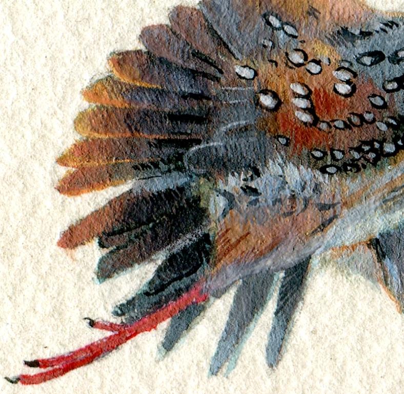 Ocellated Crake, realist gouache on paper miniature bird portrait, 2020 - Art by Dina Brodsky