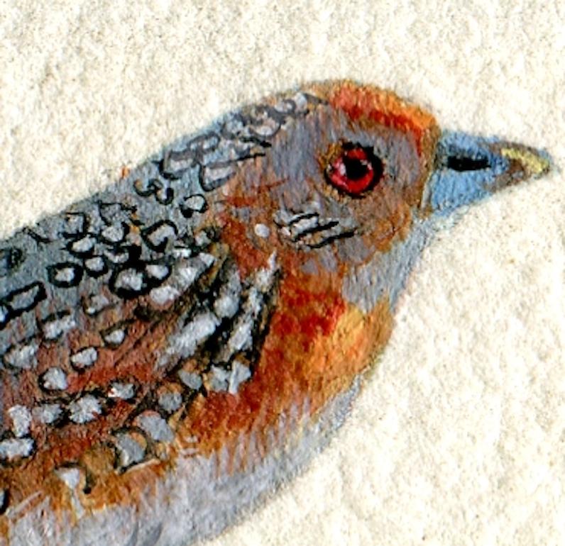 Crake ocelado, gouache realista sobre papel retrato de ave en miniatura, 2020 - Art Realista de Dina Brodsky