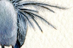 Yellow Crowned Night Heron, realist gouache on paper miniature bird portrait