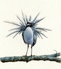Yellow Crowned Night Heron, realist gouache on paper miniature bird portrait