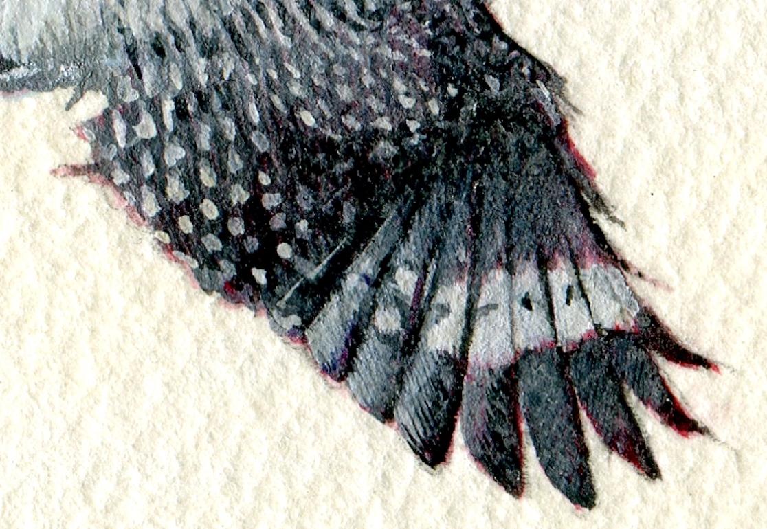 Gold-fronted Woodpecker, realist gouache on paper miniature bird portrait, 2020 - Art by Dina Brodsky