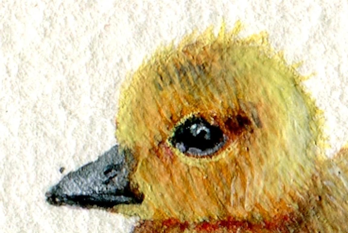 gosling bird