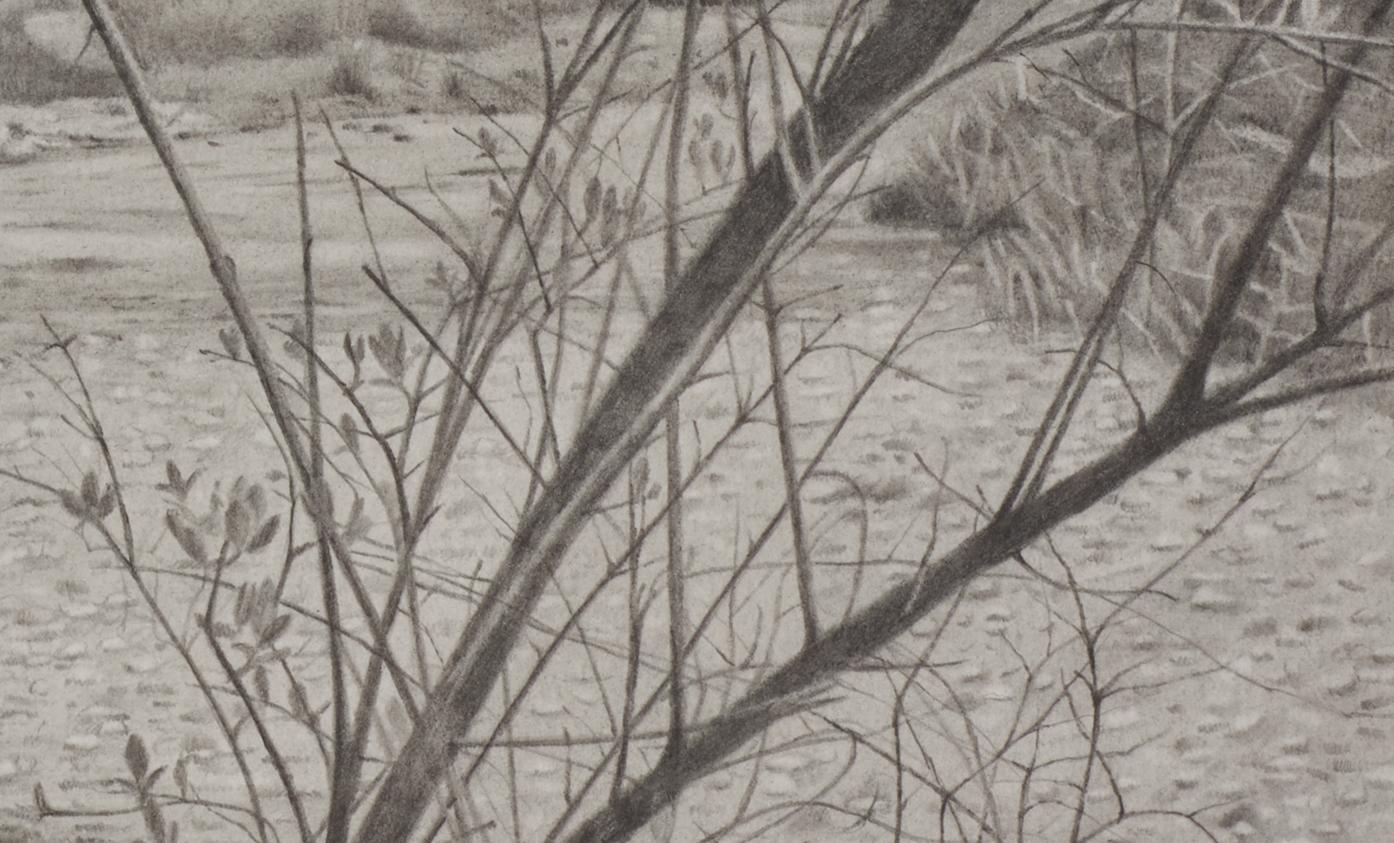 Riverbank 4, fotorealistische Graphit-Landschaftszeichnung, 2020 (Fotorealismus), Art, von Mary Reilly