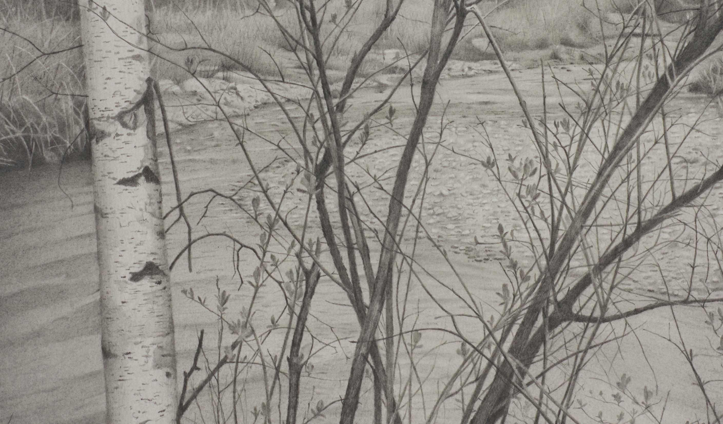 Riverbank 4, fotorealistische Graphit-Landschaftszeichnung, 2020 (Grau), Landscape Art, von Mary Reilly