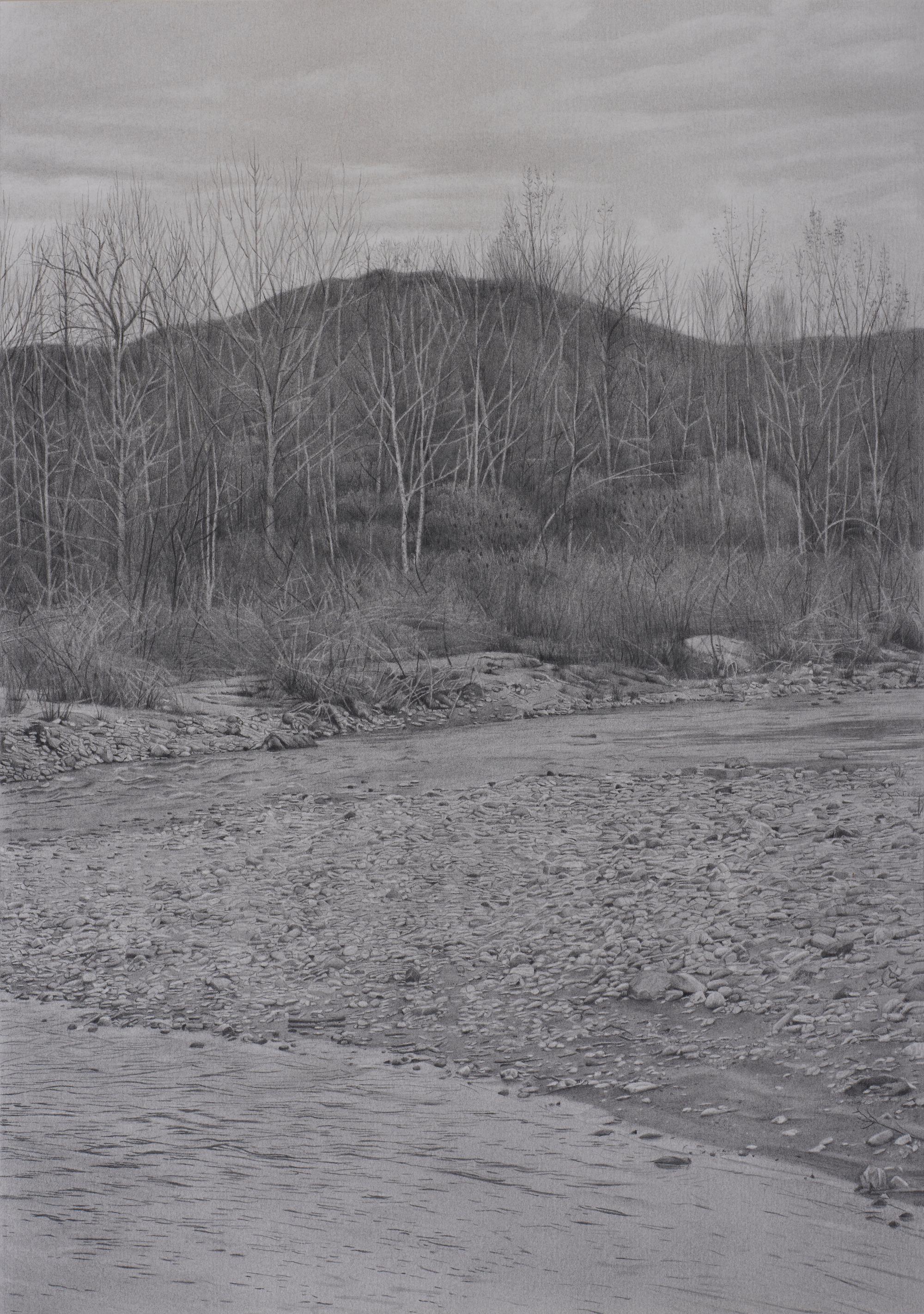 Riverbank 5, photorealist graphite landscape drawing, 2021