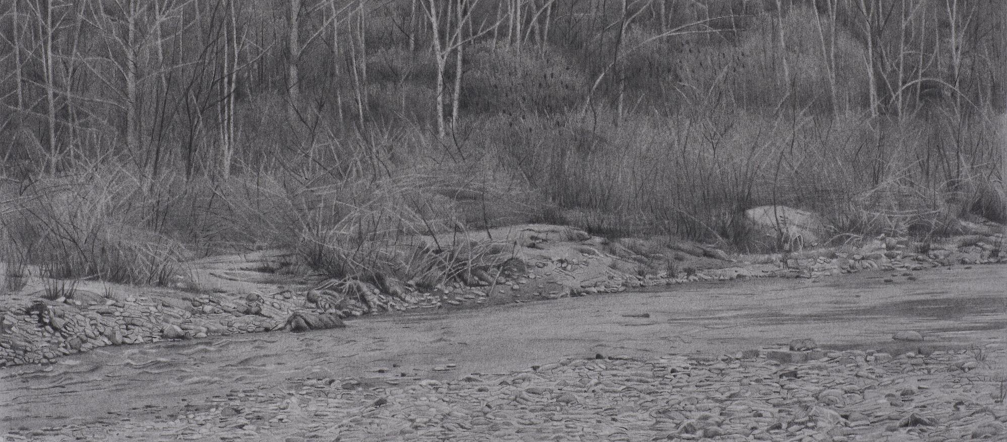 Riverbank 5, photorealist graphite landscape drawing, 2021 - Art by Mary Reilly