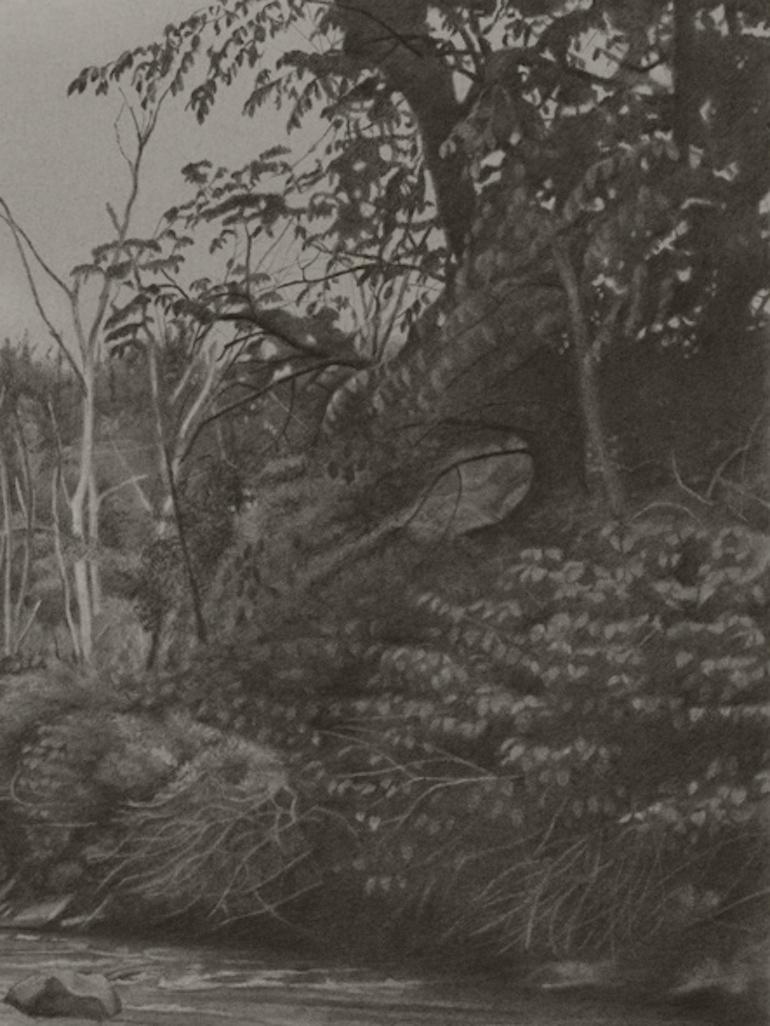 Riverbank 3, photorealist graphite landscape drawing, 2021 - Art by Mary Reilly