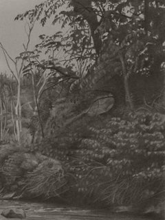 Ribera del río 3, dibujo de paisaje fotorrealista en grafito, 2021
