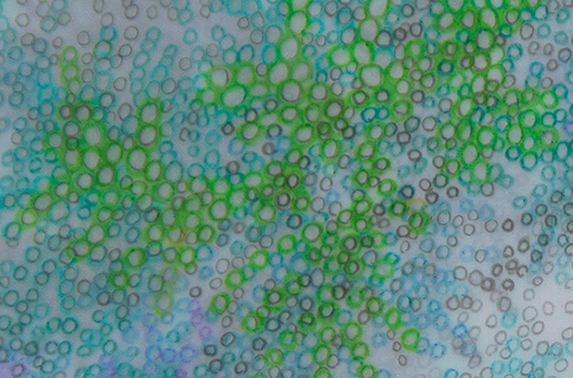 Inner Space, organic abstract graphite and colored pencil drawing on Mylar - Art by Sung Won Yun