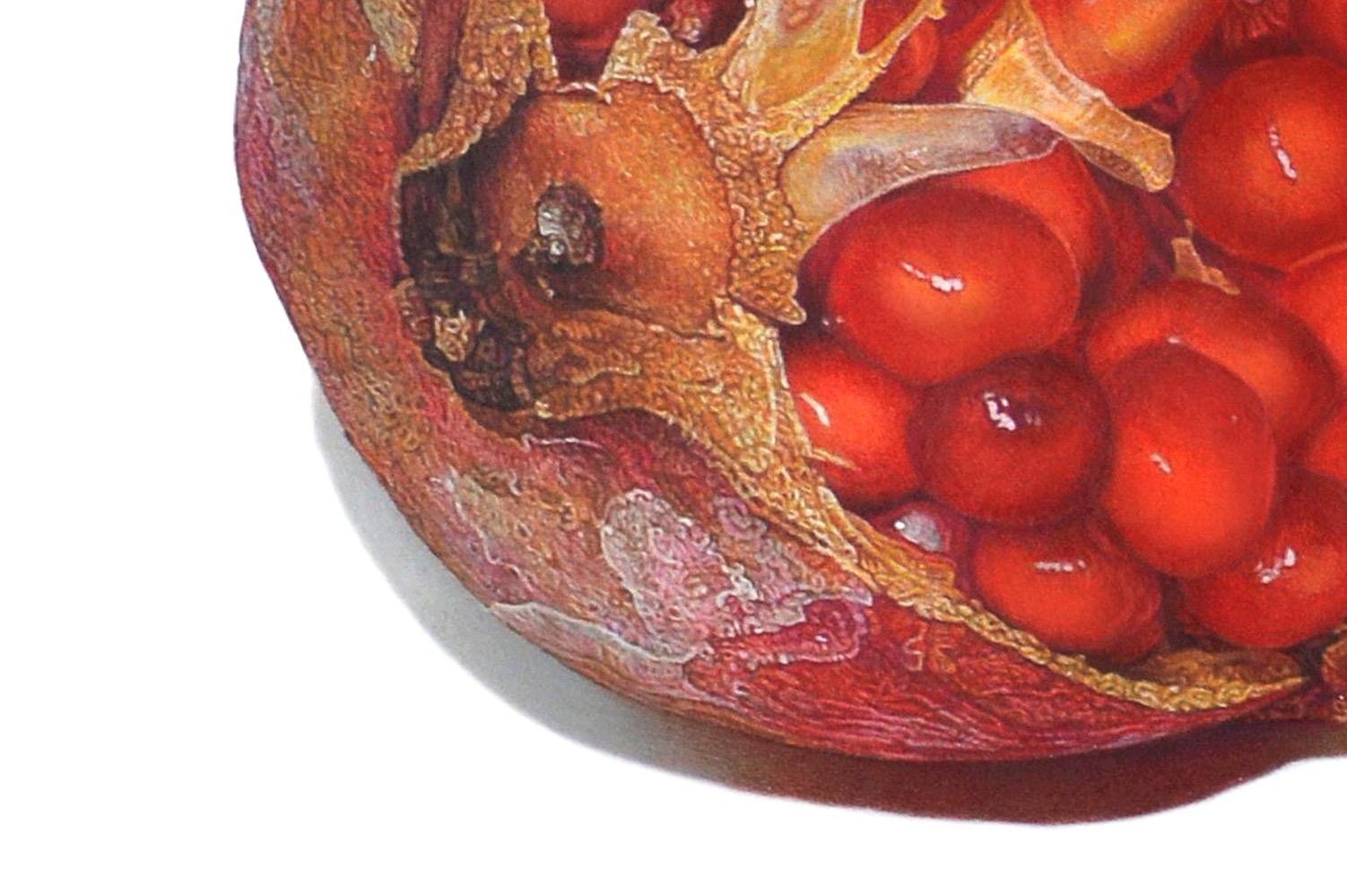 granatapfel zeichnen bleistift