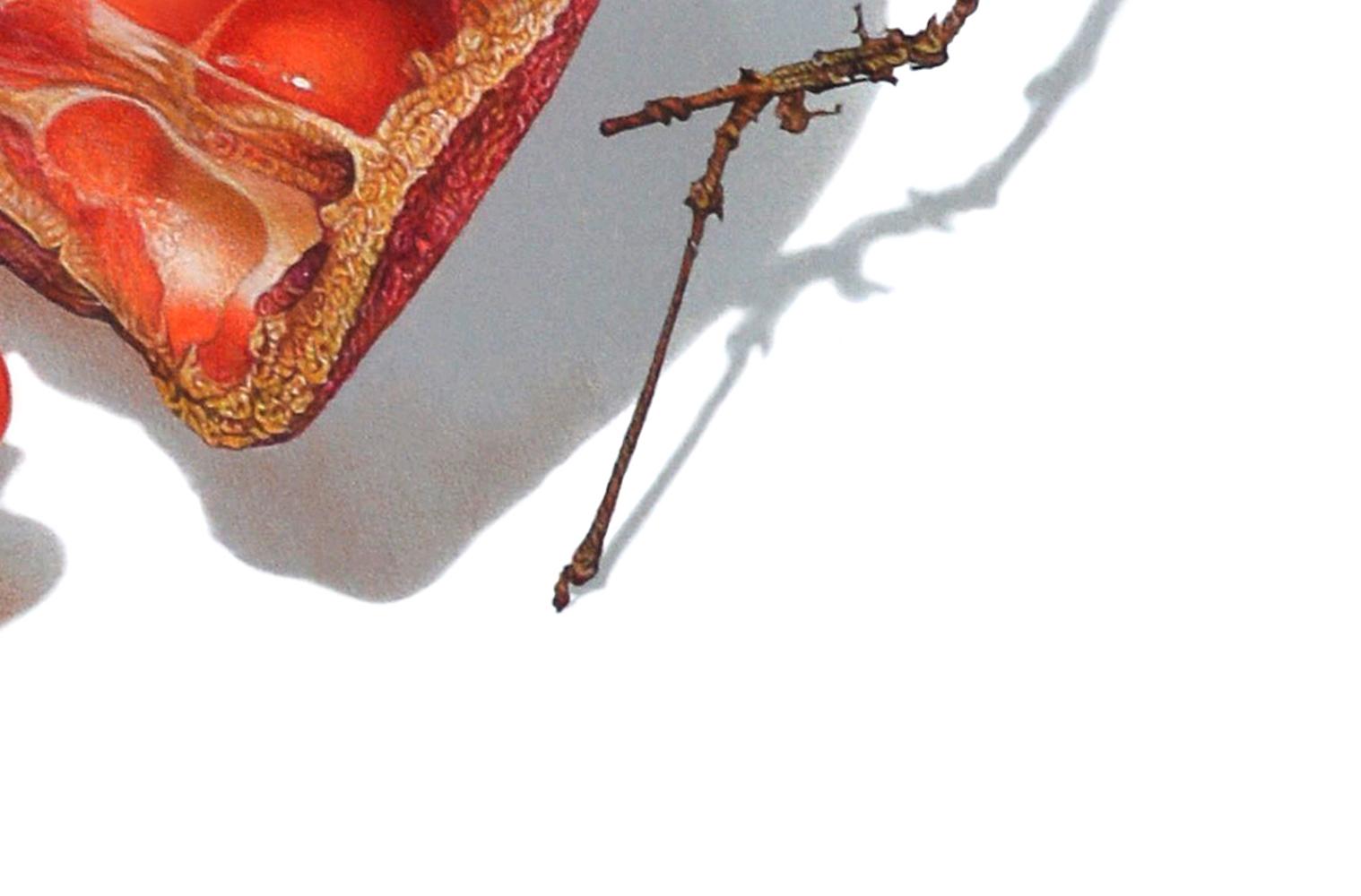Granatapfel, fotorealistische Obst-Stillleben-Zeichnung, Farbstift (Fotorealismus), Art, von David Morrison