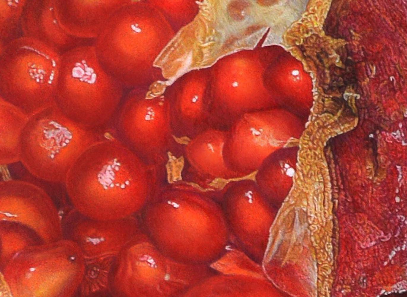 Granatapfel, fotorealistische Obst-Stillleben-Zeichnung, Farbstift – Art von David Morrison
