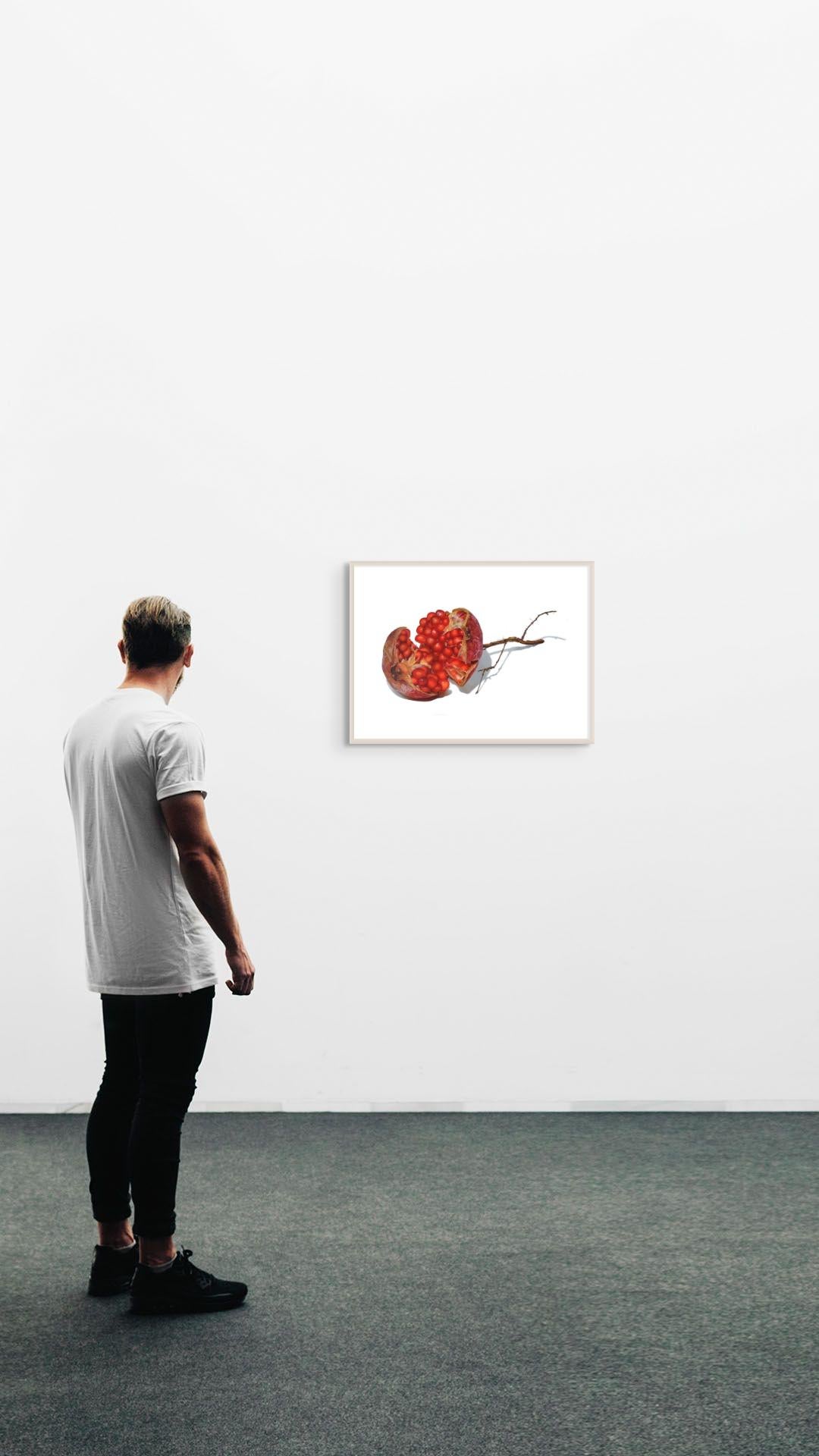 Granatapfel, fotorealistische Obst-Stillleben-Zeichnung, Farbstift (Braun), Still-Life, von David Morrison