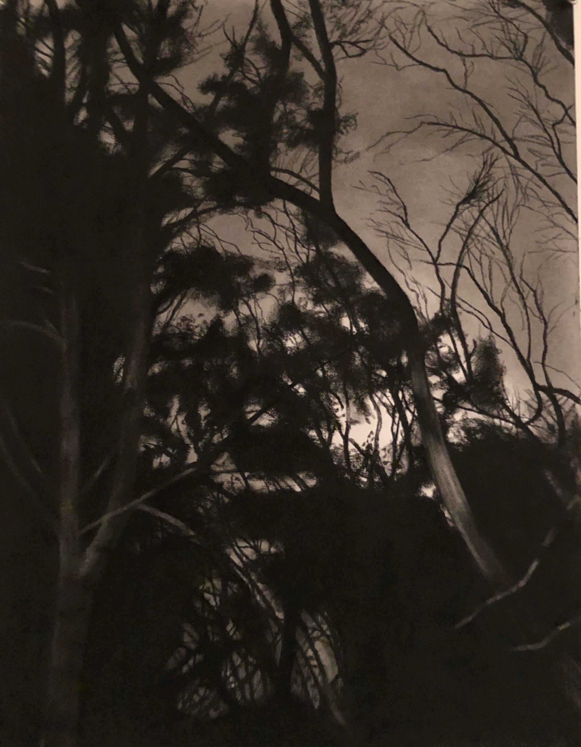 Charles Yoder Landscape Art - Left Leaning Tendencies, black and white charcoal skyscape drawing