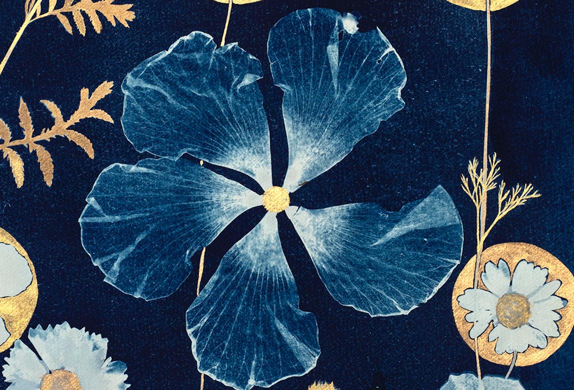 Pittura in cianotipia (Ibisco d'oro, Cosmo, Felci, Motivo del pavimento), natura morta - Still-Life Nero di Julia Whitney Barnes