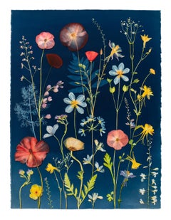 Cyanotype Painting (Poppies, Clematis, Columbine, Ferns, etc), floral still life