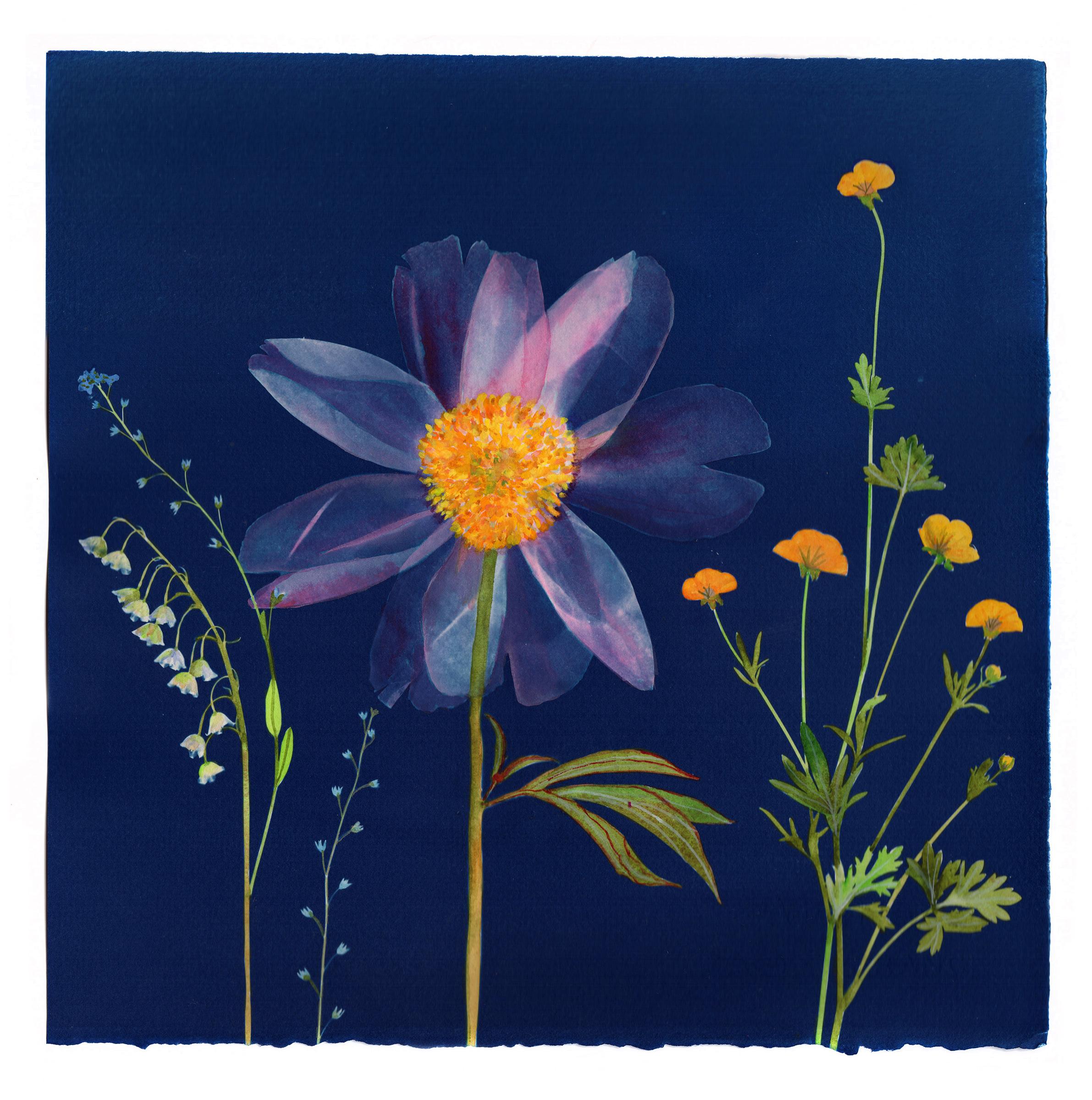 Julia Whitney Barnes Still-Life - Cyanotype Painting (Peony, Lily of the Valley, Buttercup, Forget Me Not)