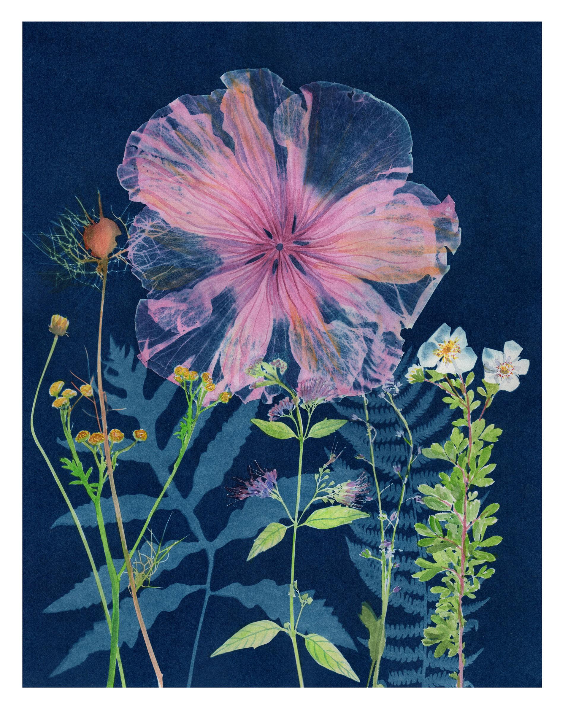 Julia Whitney Barnes Still-Life - Cyanotype Painting (Pink Hibiscus Tansy Ferns), floral still life