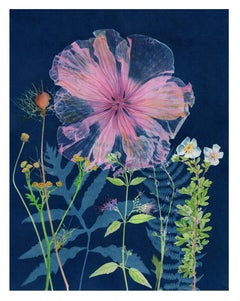 Cyanotype Painting (Pink Hibiscus Tansy Ferns), floral still life