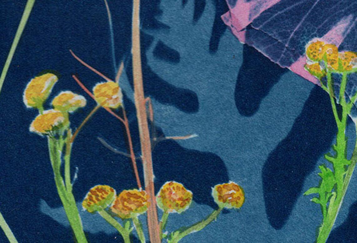 Cyanotype Painting (Pink Hibiscus Tansy Ferns), floral still life - Art by Julia Whitney Barnes