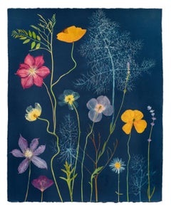 Cyanotype Painting (Clematis, Poppies, Fennel, etc)