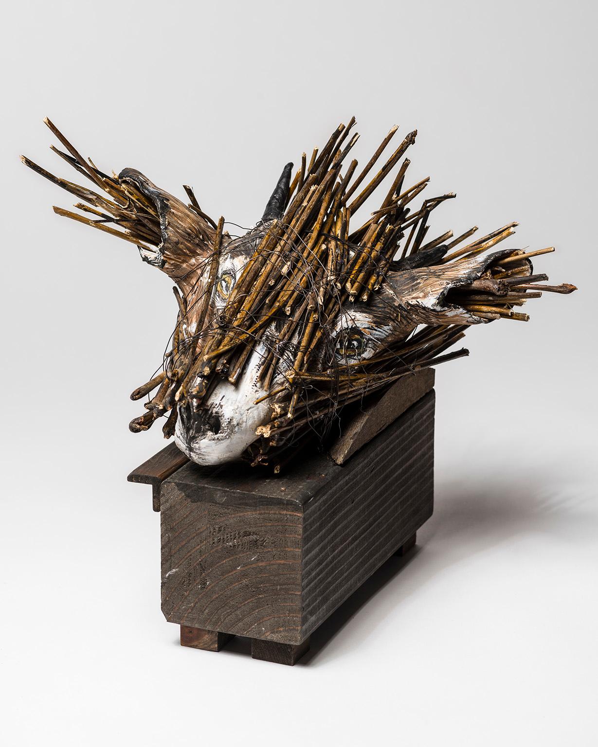 Goat Head in wood box Sculpture: 'Jersey Devil I' - Mixed Media Art by Elizabeth Jordan