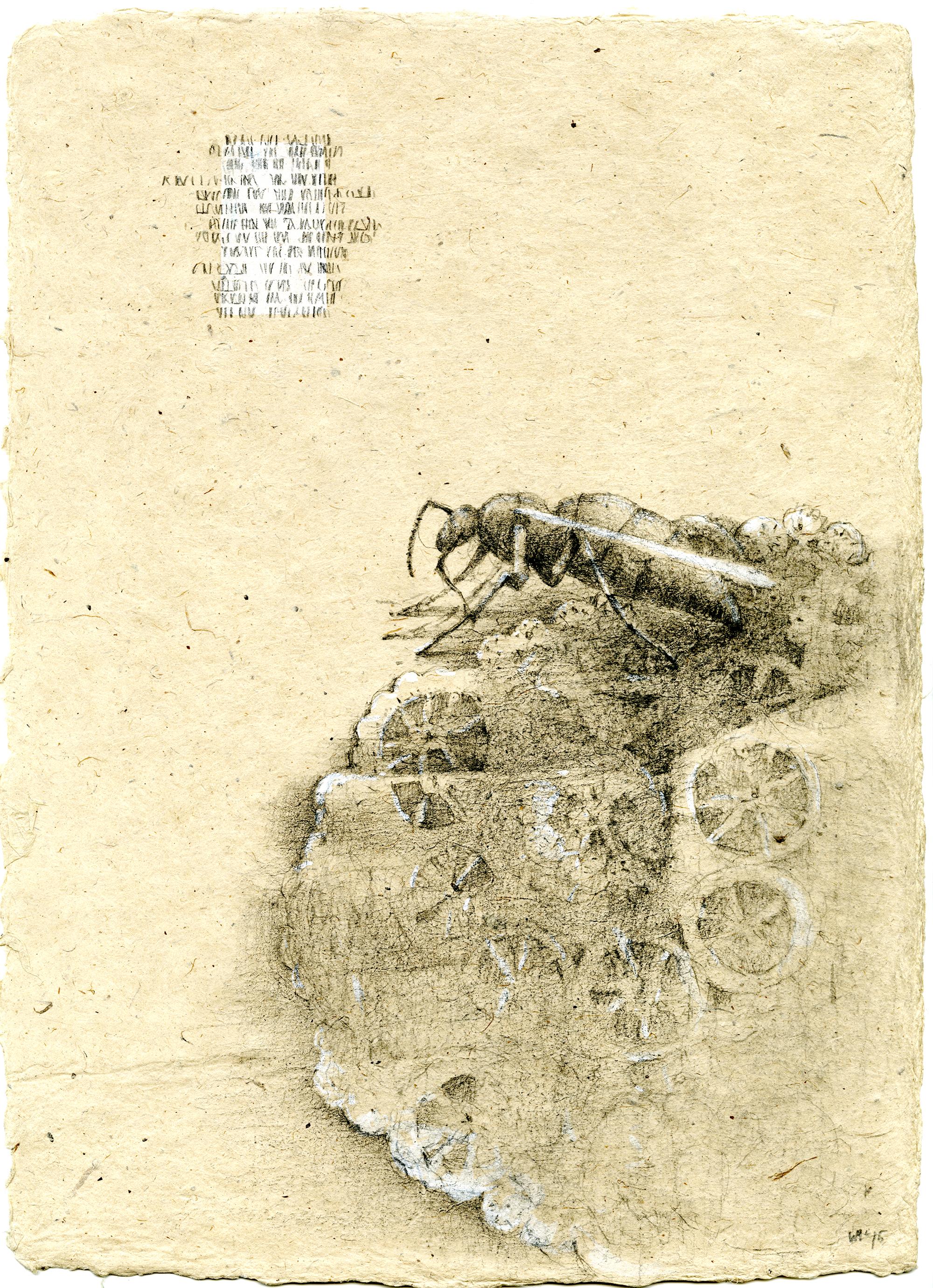 Graphit und Gouache auf handgeschöpftem Papier: „The Remains: 5“