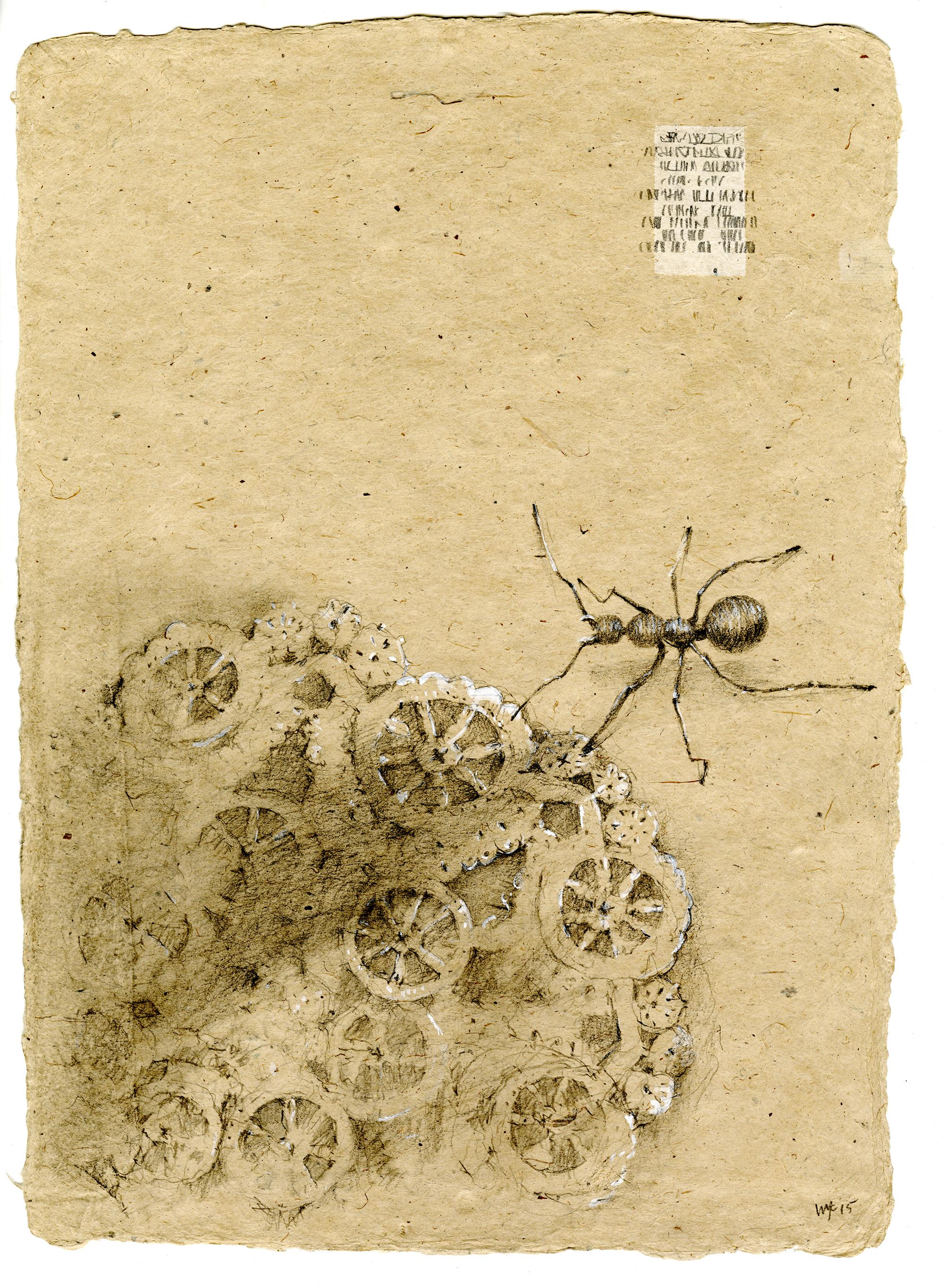 Winifred McNeill Animal Art – Graphit und Gouache auf handgeschöpftem Papier: „The Remains: 7“