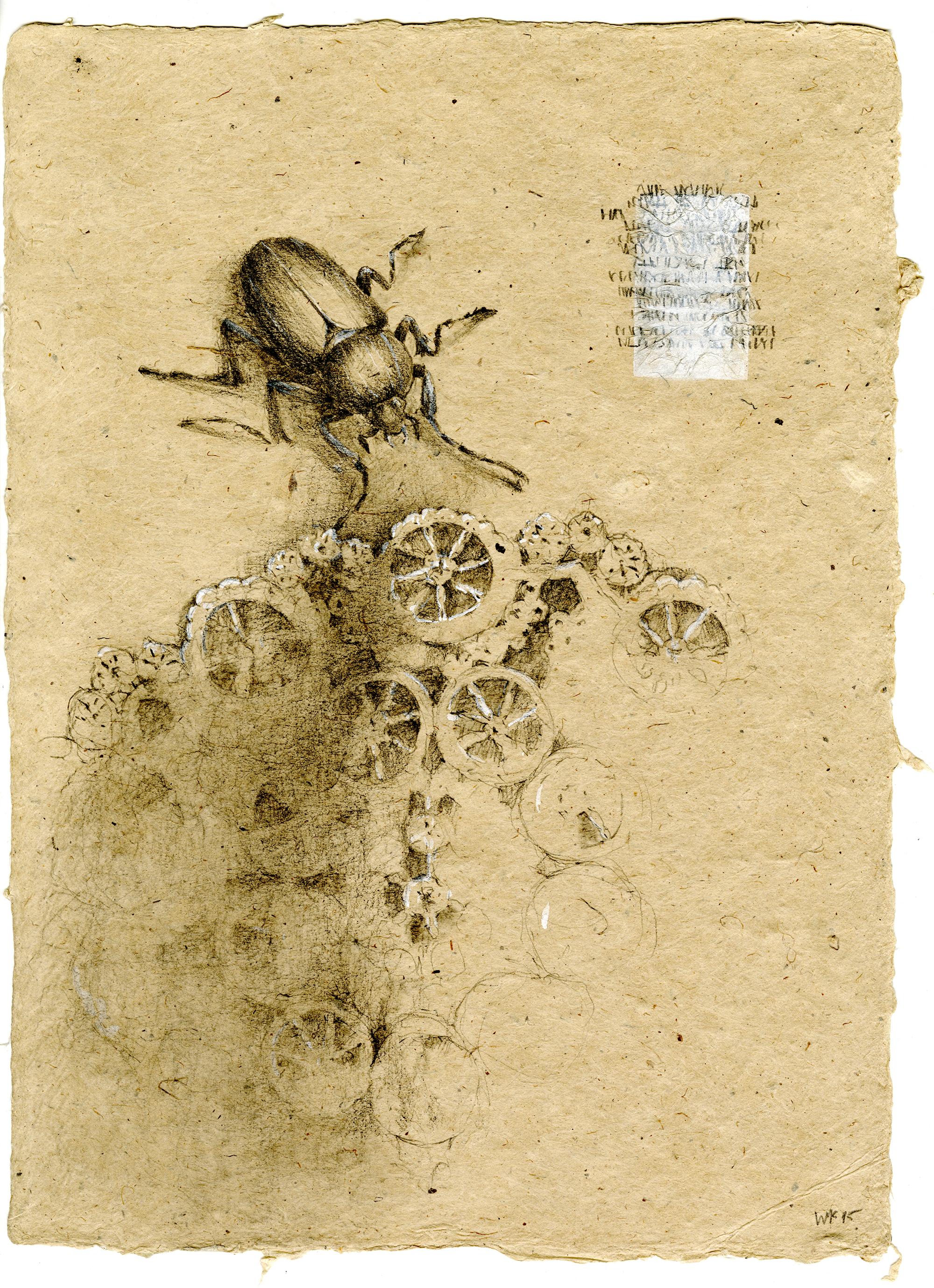 Winifred McNeill Animal Art – Graphit und Gouache auf handgeschöpftem Papier: „The Remains: 10“