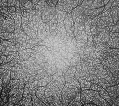 Minimal, black and white, graphite drawing: 'FIND'