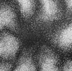 Minimal, black and white, graphite drawing: 'PERMEATE'