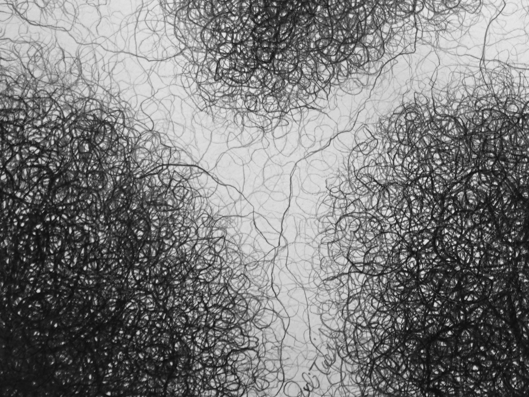 “My biomorphic abstractions range from intimate to immersive in scale, referencing our interconnectedness. 
 Building curvilinear ceramic sculpture and then drawing intertwined graphite lines on the surface, creates energy that seems to emanate from