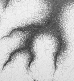 Minimal, black and white, graphite drawing: 'SPREAD'