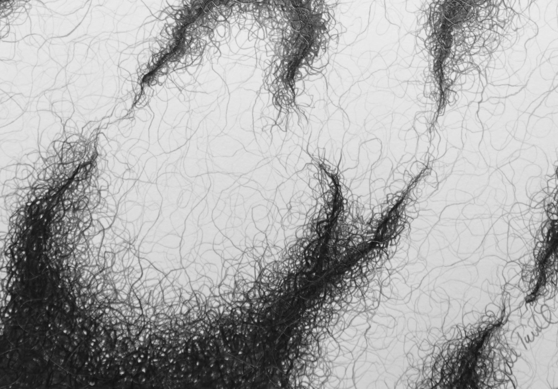 Minimal, black and white, graphite drawing: 'SPREAD' - Black Abstract Drawing by Judi Tavill
