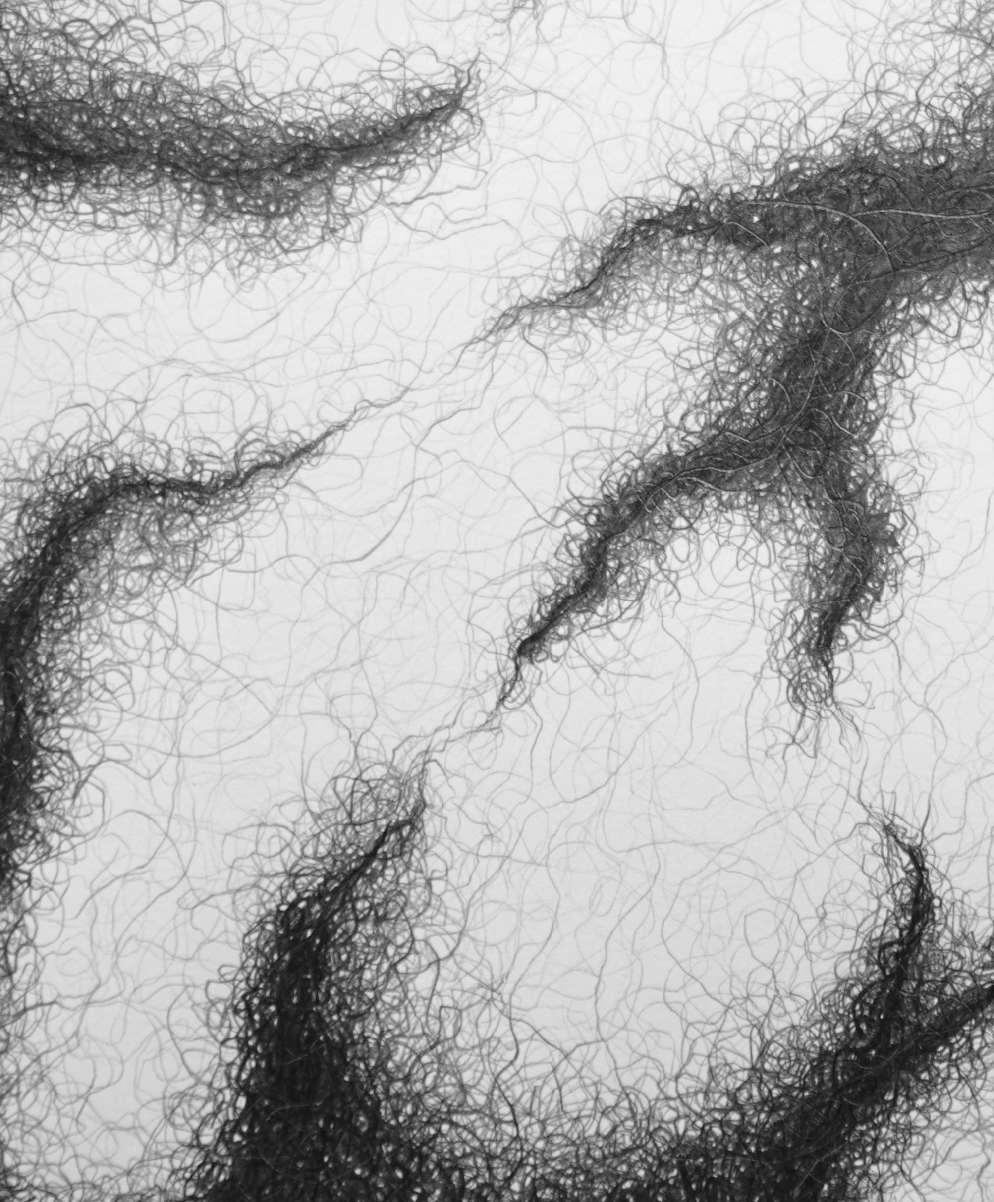 “My biomorphic abstractions range from intimate to immersive in scale, referencing our interconnectedness. 
 Building curvilinear ceramic sculpture and then drawing intertwined graphite lines on the surface, creates energy that seems to emanate from