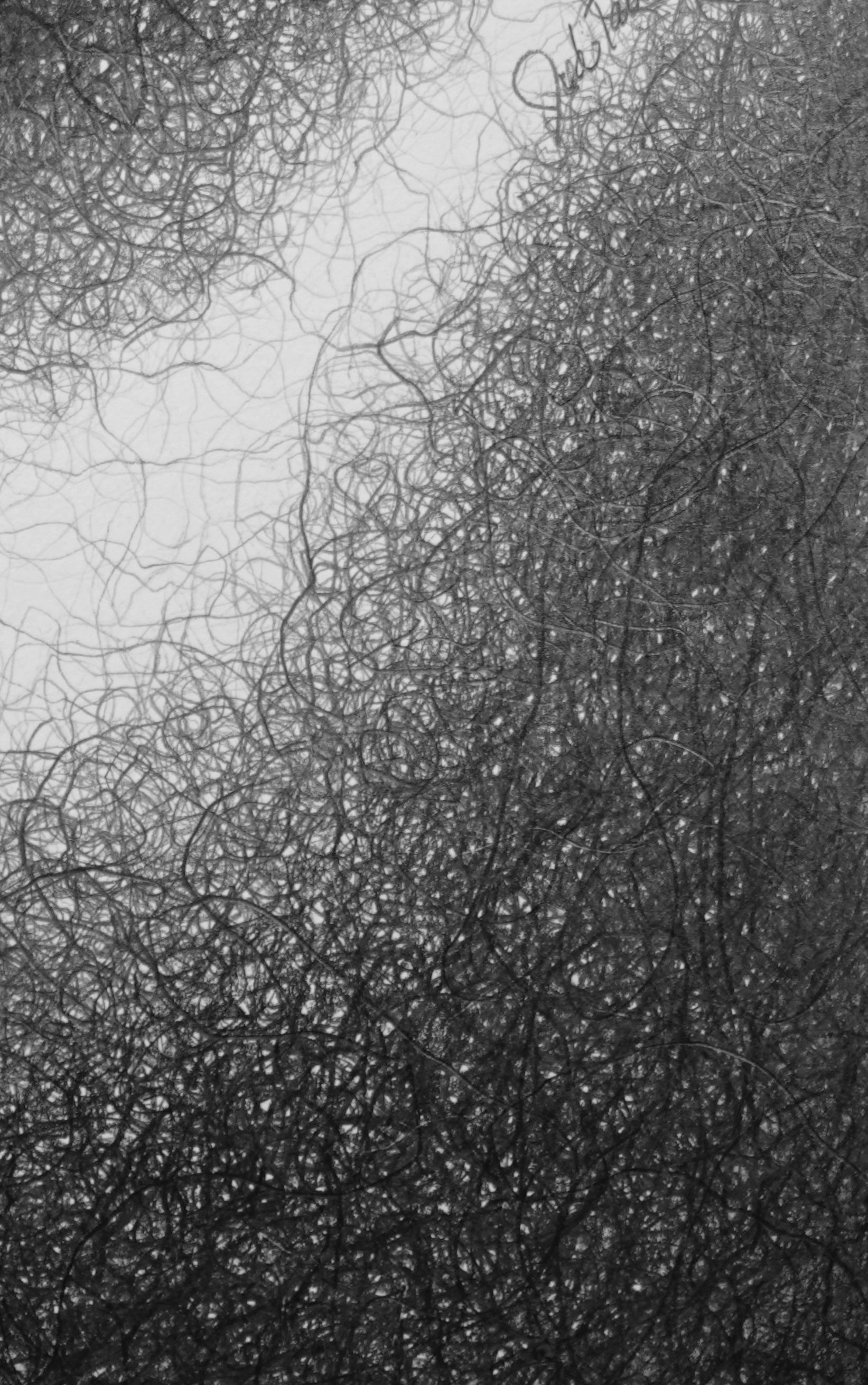 Minimal, black and white, graphite drawing: 'PIECE' - Black Abstract Drawing by Judi Tavill