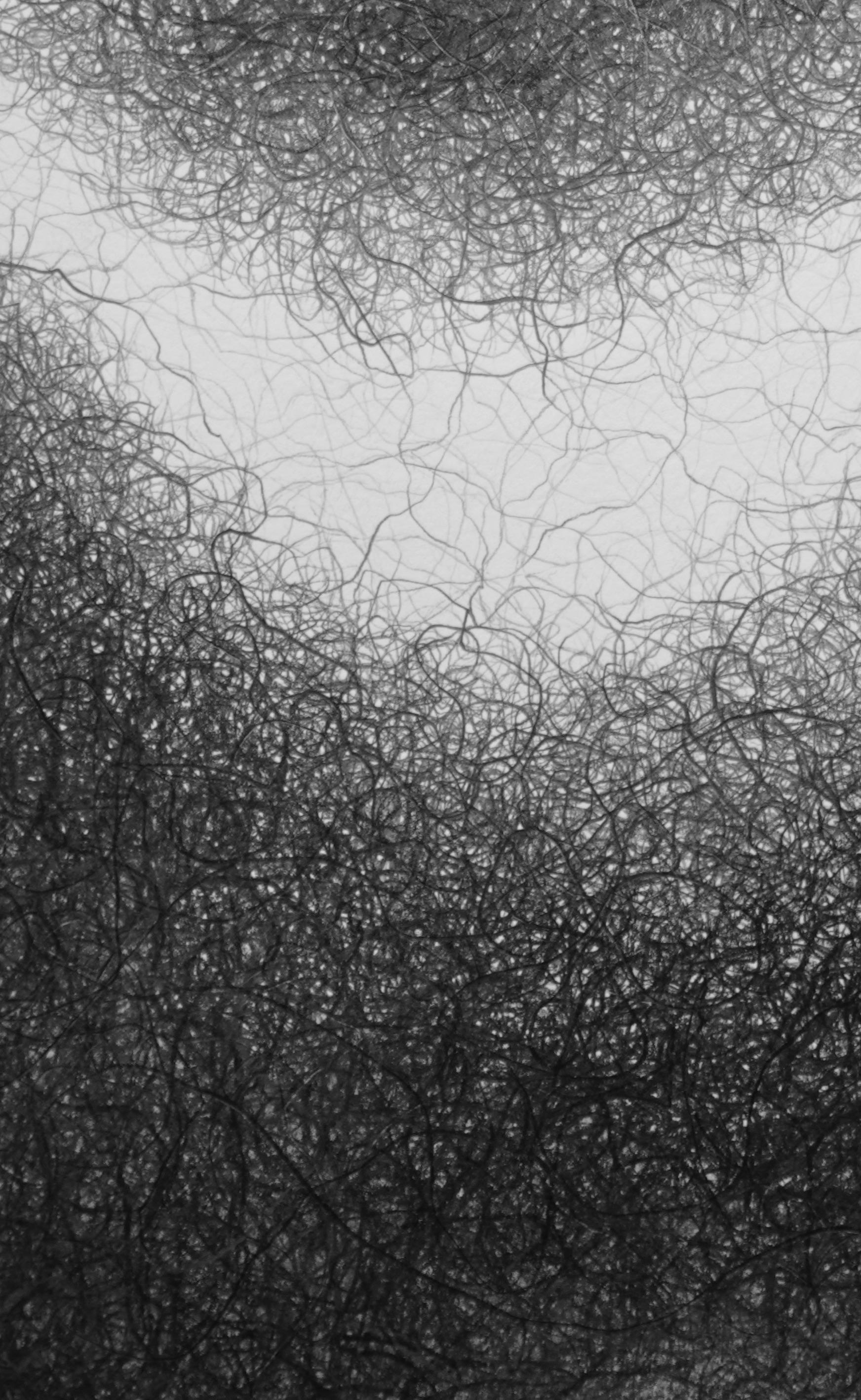 “My biomorphic abstractions range from intimate to immersive in scale, referencing our interconnectedness. 
 Building curvilinear ceramic sculpture and then drawing intertwined graphite lines on the surface, creates energy that seems to emanate from