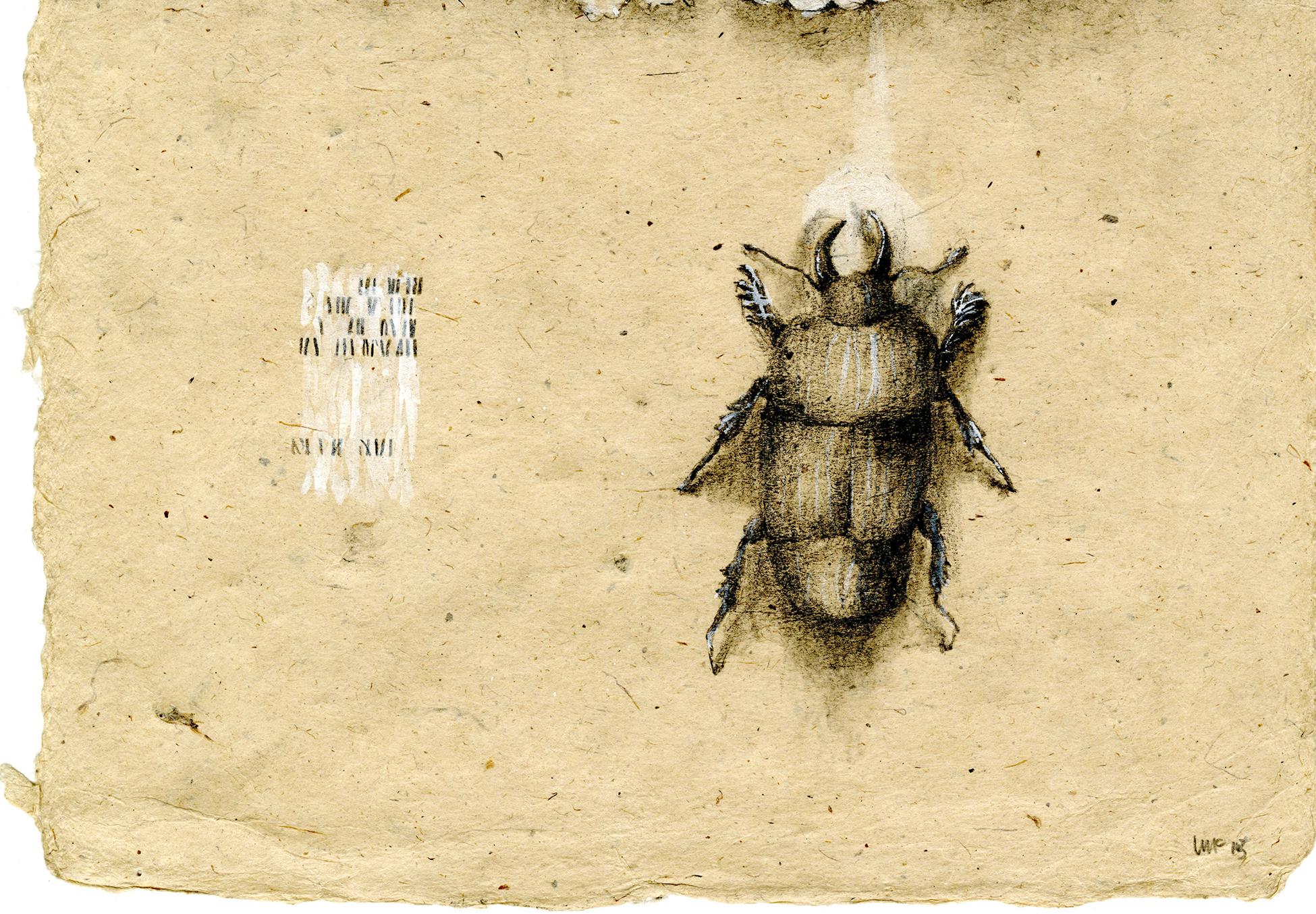 Graphite et gouache sur papier fait main : « The Remains: 1 » - Beige Animal Art par Winifred McNeill