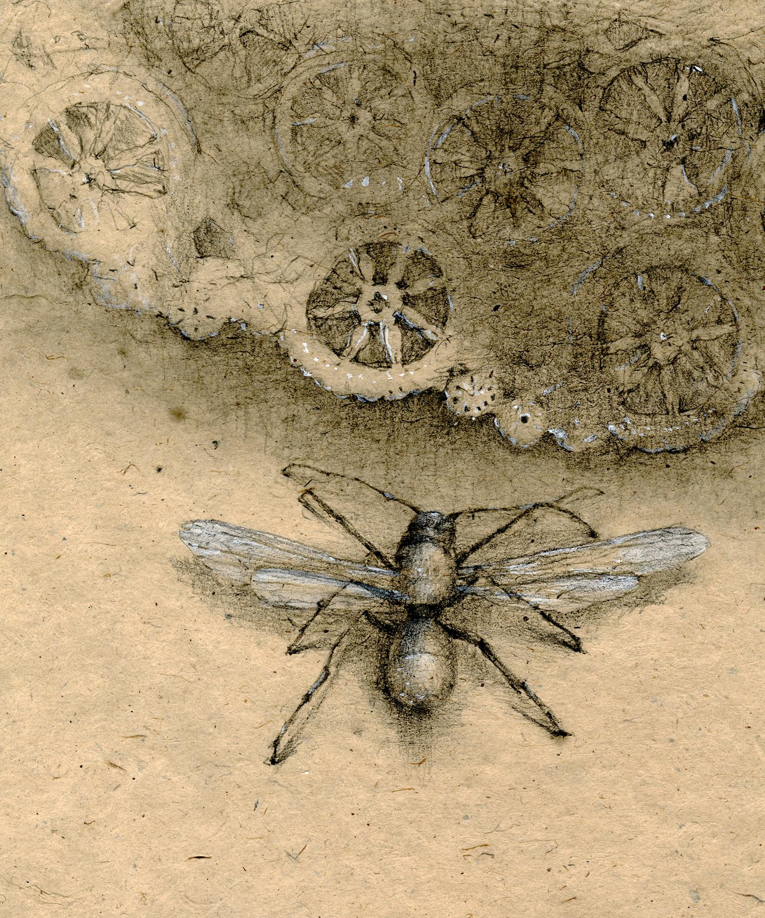 Graphite and gouache on handmade paper: 'The Remains: 2' - Beige Figurative Art by Winifred McNeill