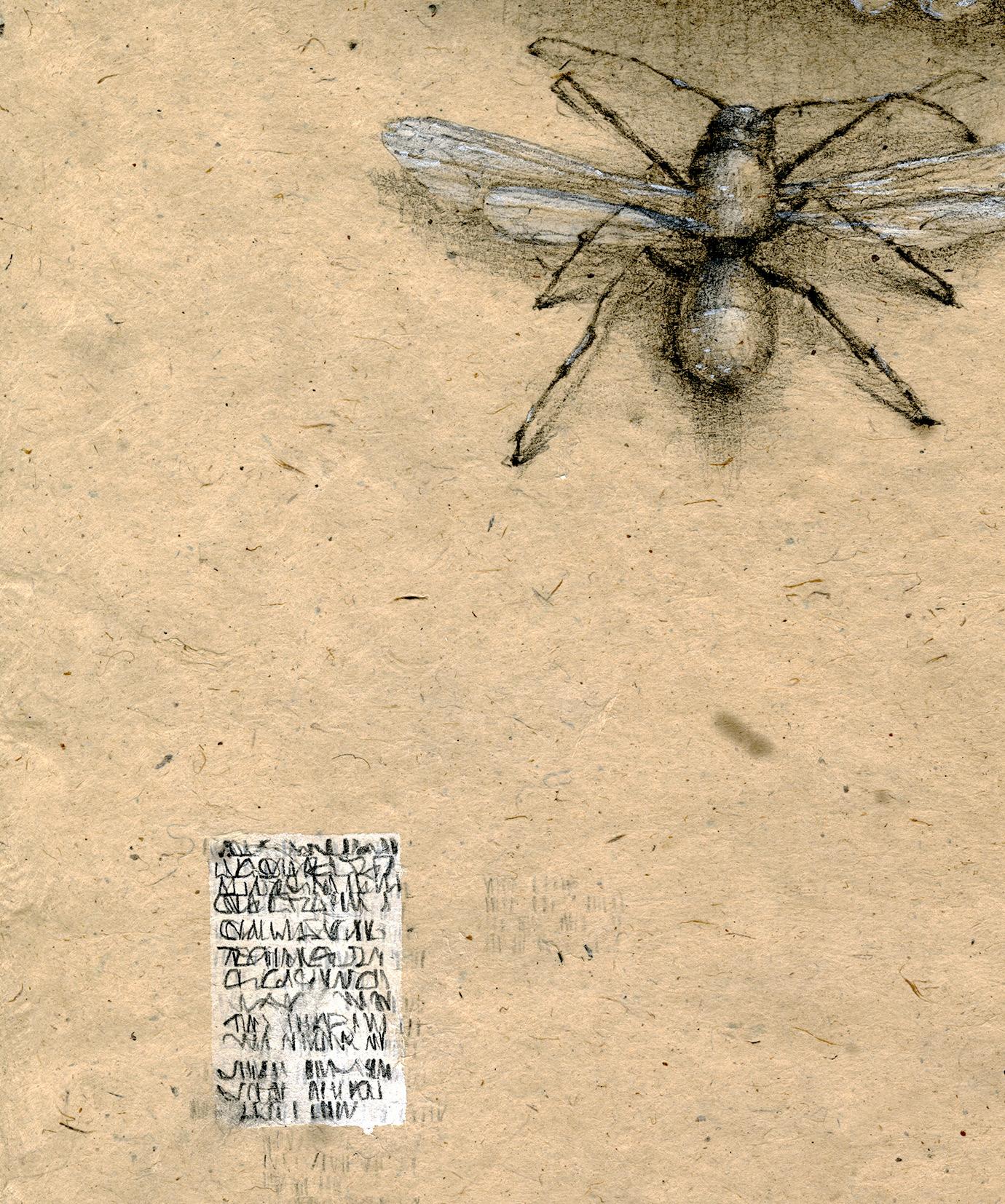 The Remains, A series of 10 works
 
An insect approaches a crumpled paper doily to eat what remains of a party.  This series explores the moment when the trimmings become debris and presumptions of human control are upended. The text-like marks on