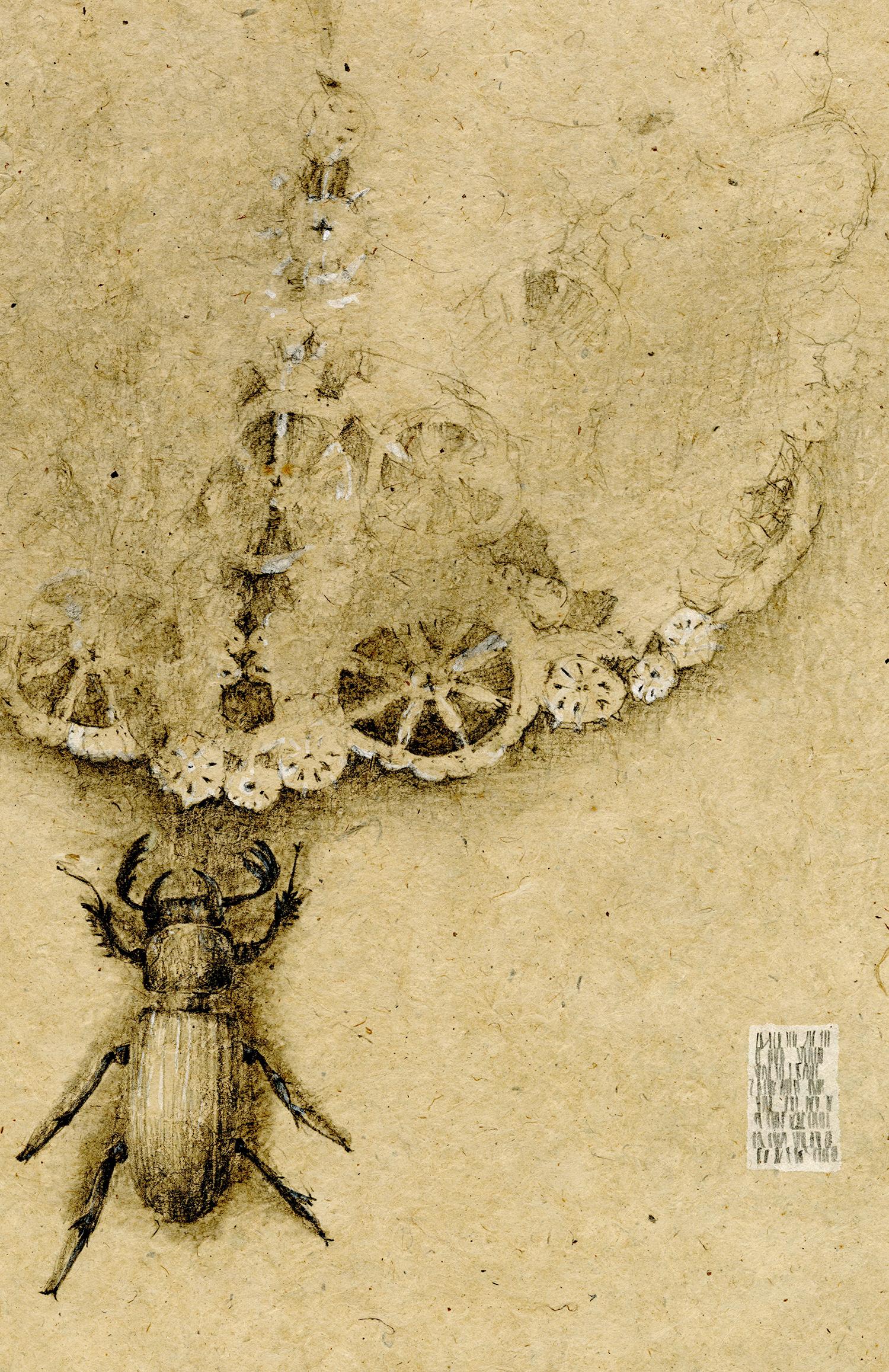Graphite and gouache on handmade paper: 'The Remains: 4' - Art by Winifred McNeill