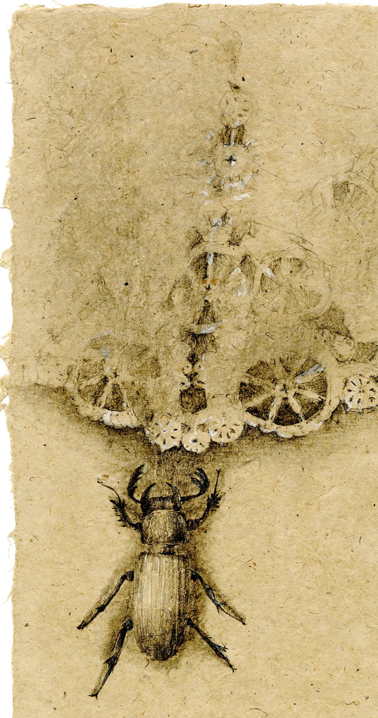 Graphite and gouache on handmade paper: 'The Remains: 4' - Contemporary Art by Winifred McNeill