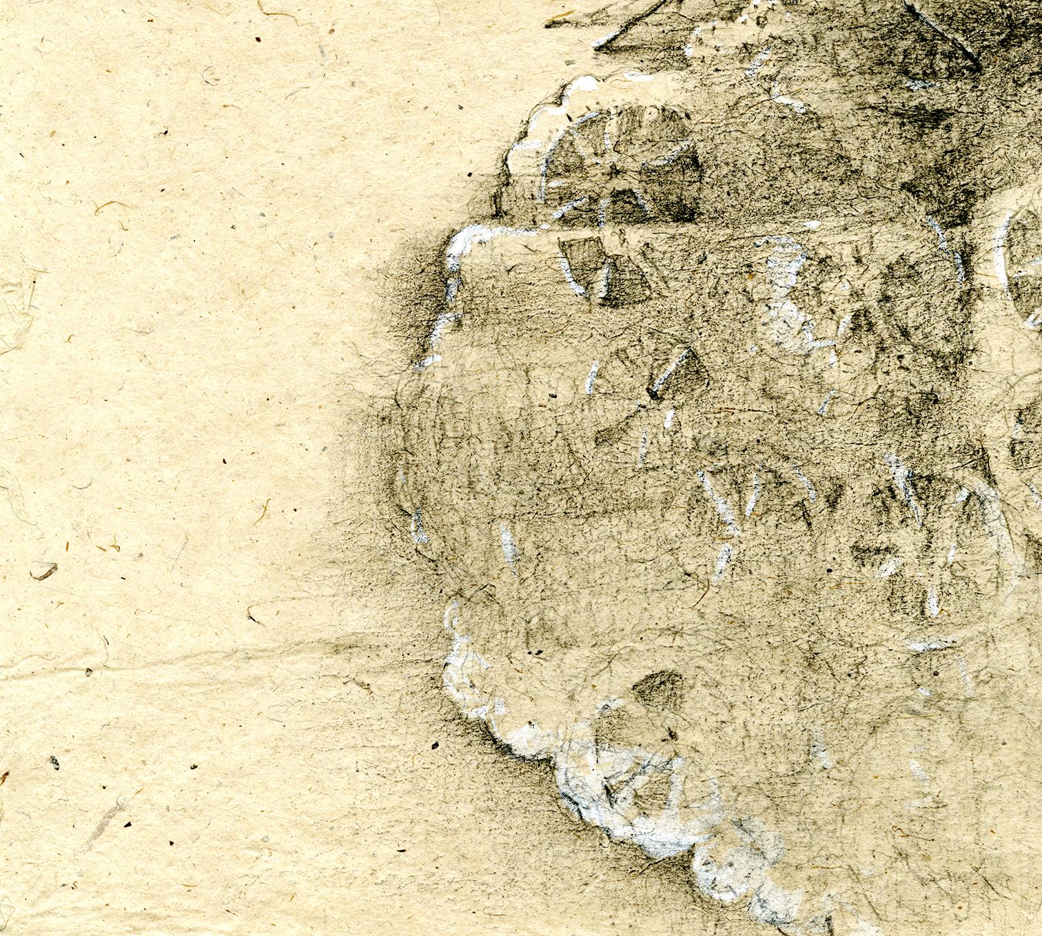 Graphite and gouache on handmade paper: 'The Remains: 5' - Beige Animal Art by Winifred McNeill