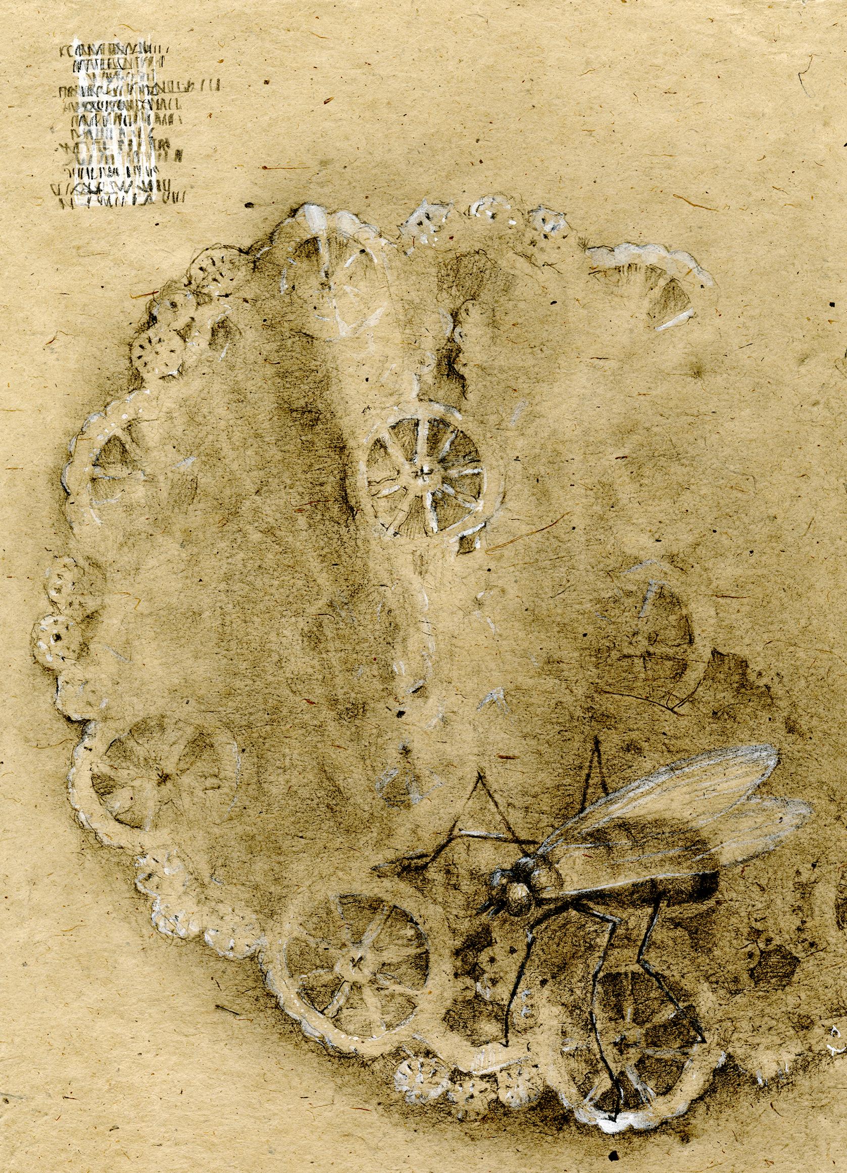 Graphite and gouache on handmade paper: 'The Remains: 6' - Art by Winifred McNeill