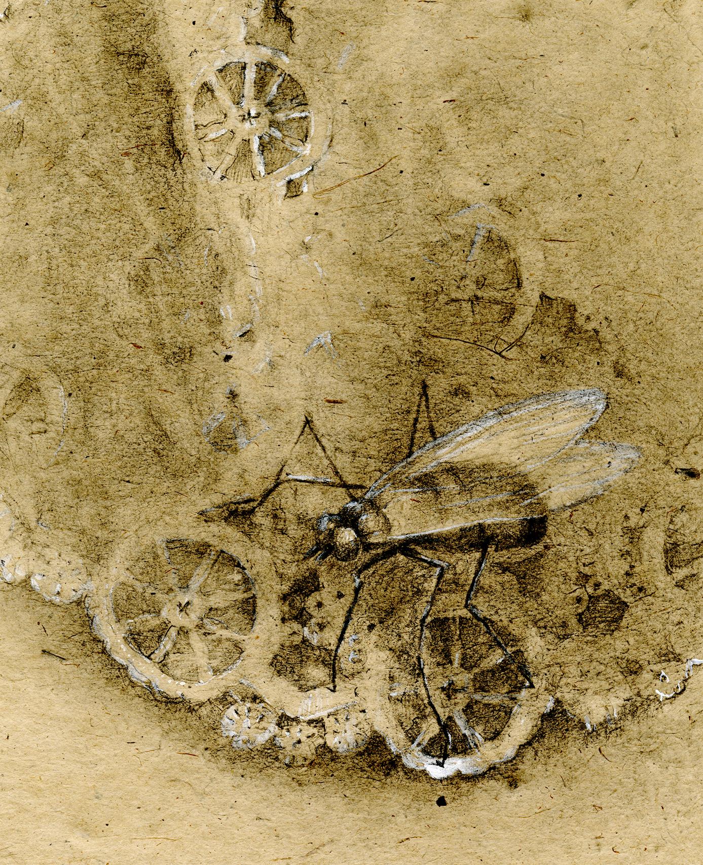 Graphite and gouache on handmade paper: 'The Remains: 6' - Contemporary Art by Winifred McNeill
