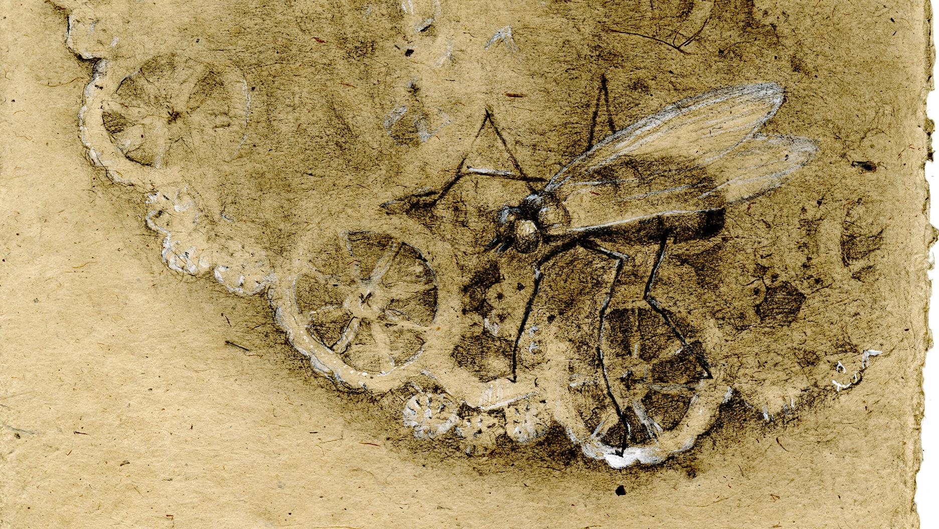 The Remains, A series of 10 works
 
An insect approaches a crumpled paper doily to eat what remains of a party.  This series explores the moment when the trimmings become debris and presumptions of human control are upended. The text-like marks on