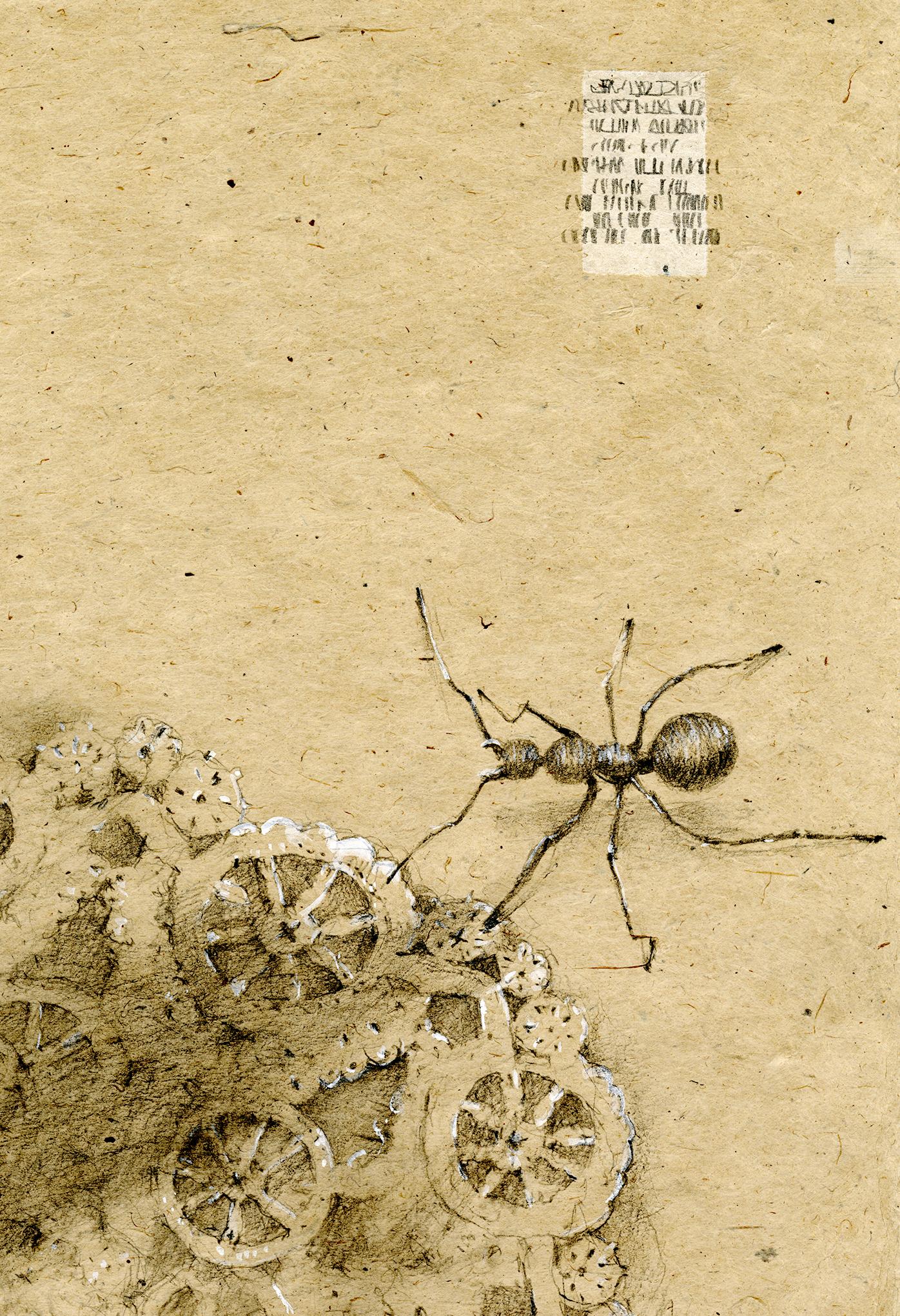 Graphit und Gouache auf handgeschöpftem Papier: „The Remains: 7“ – Art von Winifred McNeill