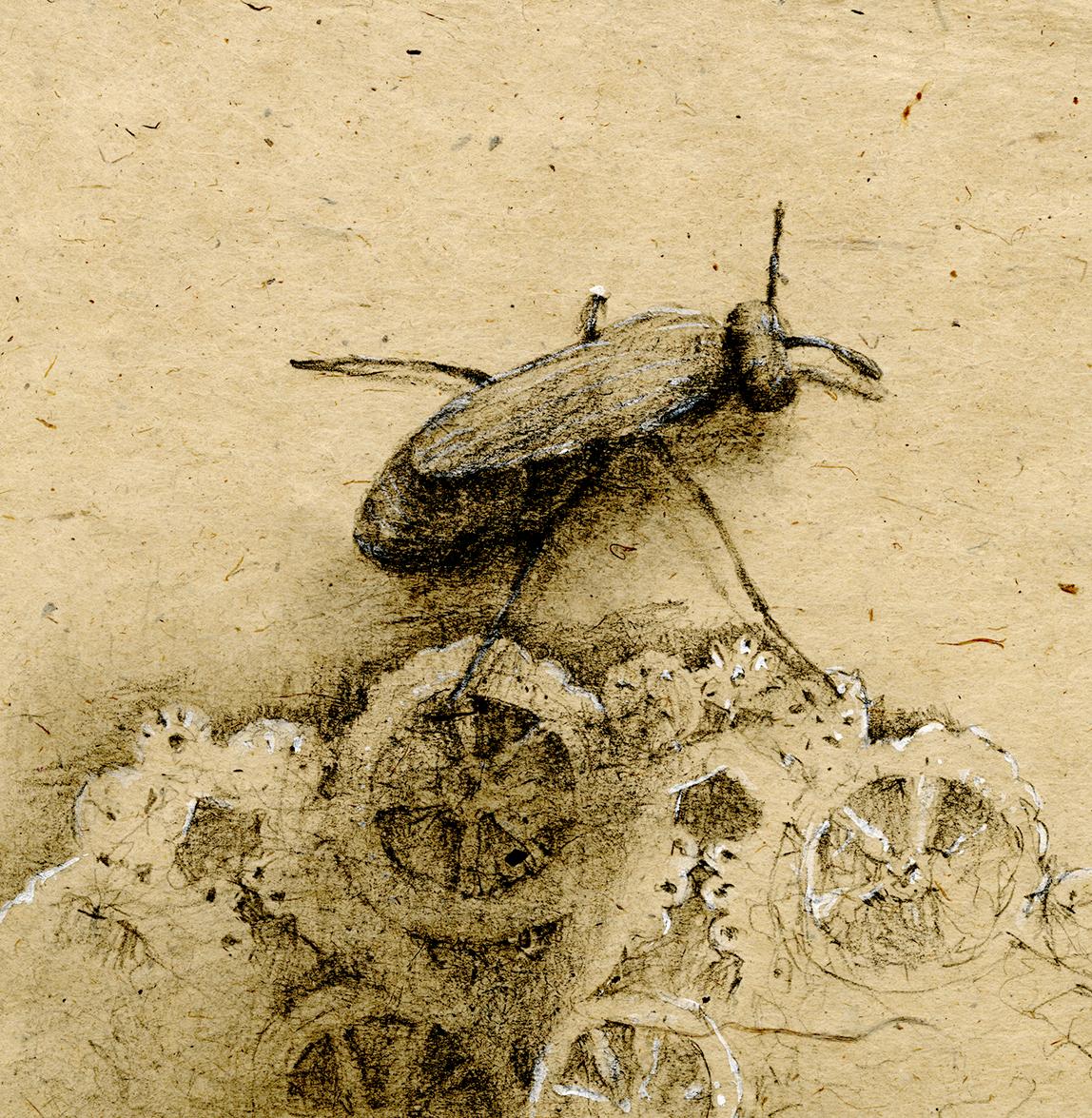 Graphit und Gouache auf handgeschöpftem Papier: „The Remains: 9“ (Zeitgenössisch), Art, von Winifred McNeill