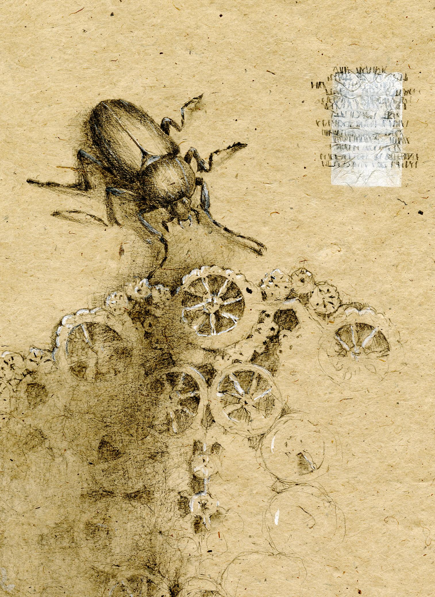 Graphit und Gouache auf handgeschöpftem Papier: „The Remains: 10“ – Art von Winifred McNeill